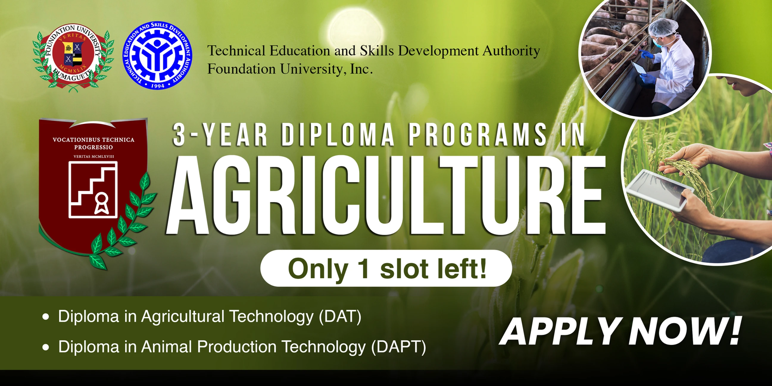 TESDA Diploma Programs: Are They Right For You?